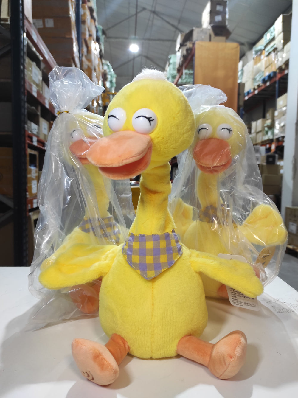 Pato falante e dançarino